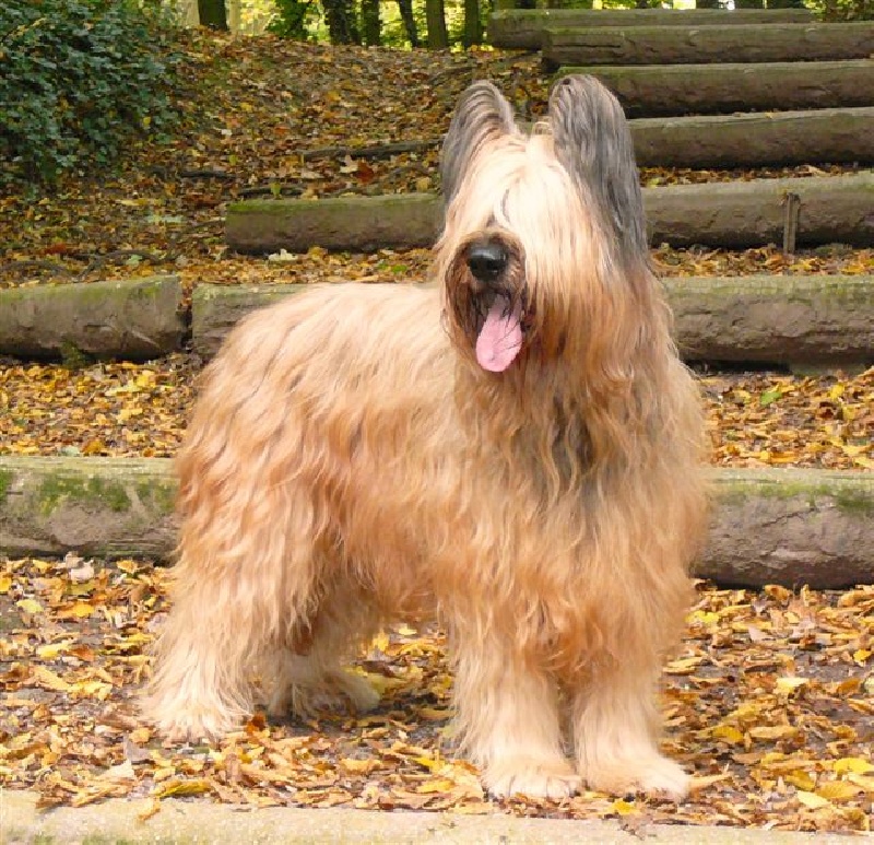 CH. Tahuna Du clos de la croix de fer